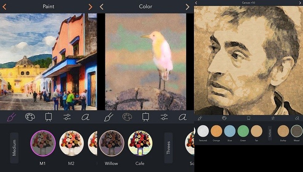 Brushstroke transforma suas fotos em belas pinturas (Foto: Divulgação/AppStore) — Foto: TechTudo