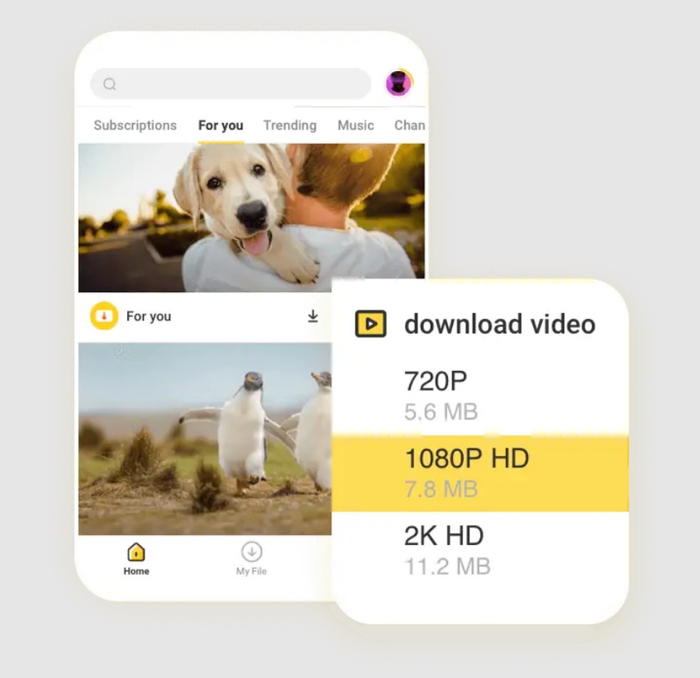 Snaptube faz o download de vídeos do YouTube para Android em diferentes formatos — Foto: Reprodução/Snaptube