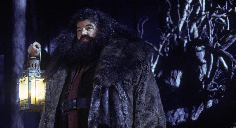 Rúbeo Hagrid trabalha como guarda-caças na Escola de Magia e Bruxaria de Hogwarts — Foto: Divulgação/Warner Bros. Pictures