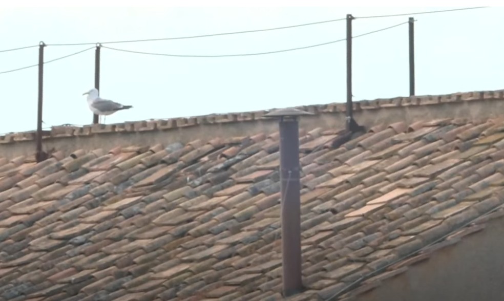  Reprodução/YouTube/The Mirror