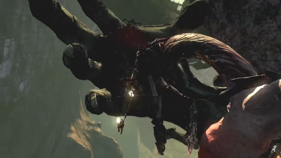  Reprodução/Lucky Salamander