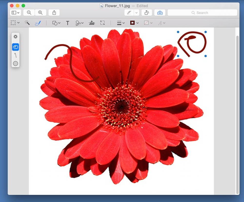 Computadores da Apple tem uma 'versão do Paint para Mac'; saiba encontrar