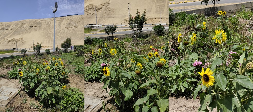  Ana Letícia Loubak/TechTudo