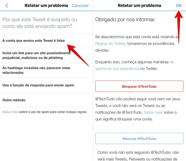 Twitter permite denunciar fake news de covid e política em teste - TecMundo
