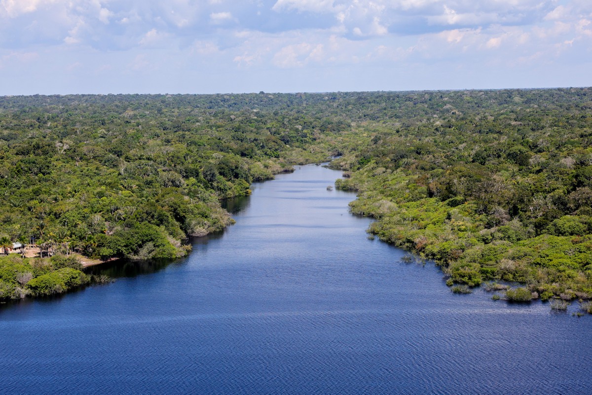 Ferramenta de IA consegue prever riscos de desmatamento na Amazônia Legal