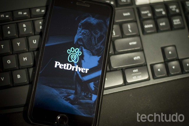 5 aplicativos que todo 'pai de pet' deveria baixar no celular agora