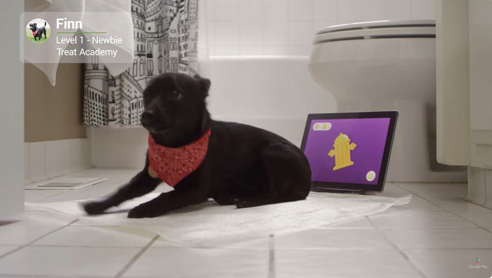 Google Play para Pets tem jogos exclusivos para seu melhor amigo — Foto: Reprodução/Youtube