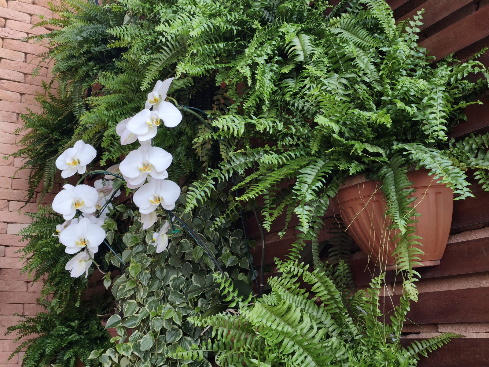  Ana Letícia Loubak/TechTudo