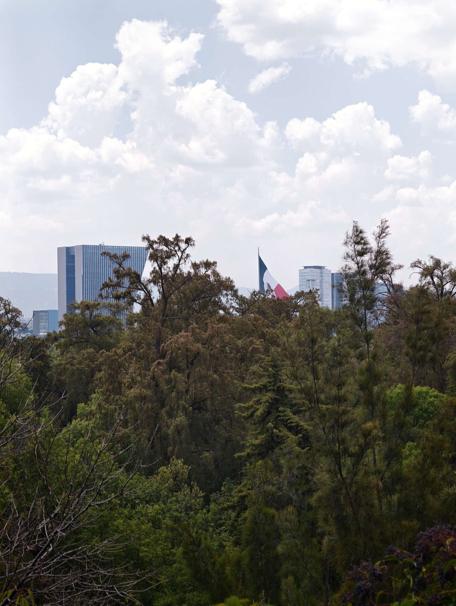 Aline Barbieri/TechTudo