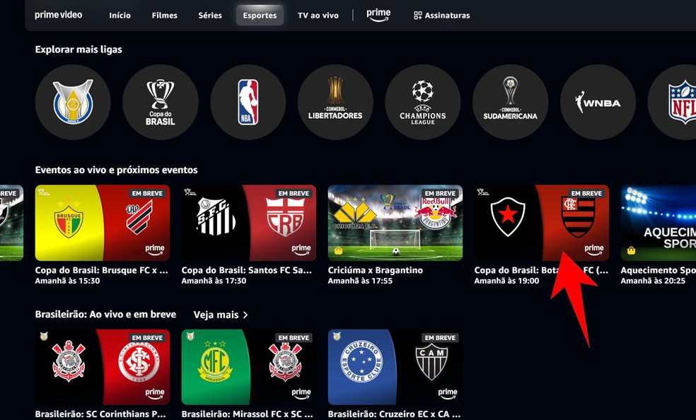 Onde vai passar Botafogo-PB x Flamengo? Amazon Prime Video transmite partida da Copa do Brasil nesta quinta (1º) — Foto: Reprodução/Rodrigo Fernandes