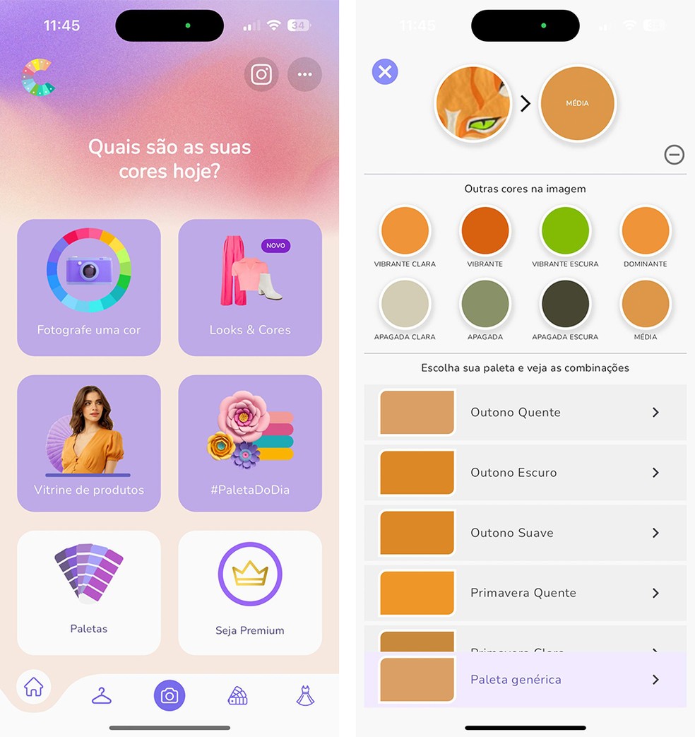 Como descobrir minha paleta de cores? Site faz teste online grátis