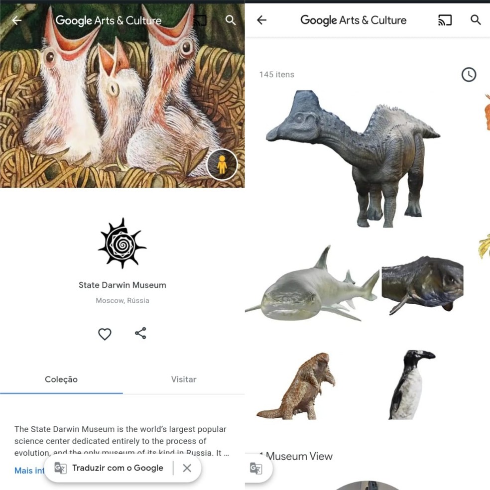 Google acrescenta 50 animais 3D às opções de realidade aumentada