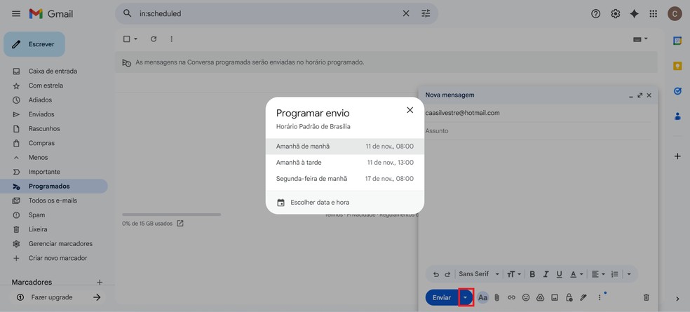  Reprodução/Caroline Silvestre