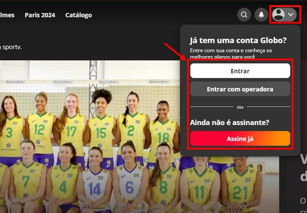 VNL 2024: veja a programação e onde assistir os jogos da seleção