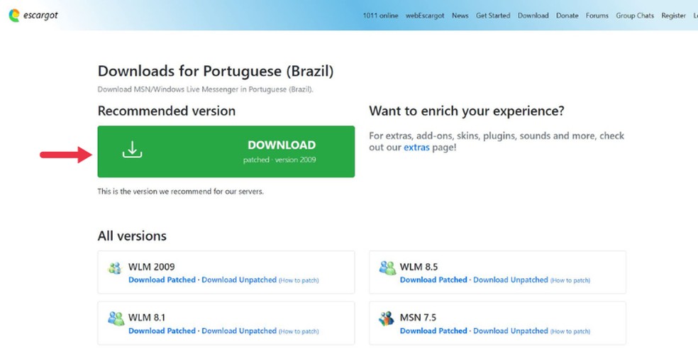 Baixe a versão desejada do MSN Messenger. — Foto: Foto: Reprodução/Juliana Villarinho