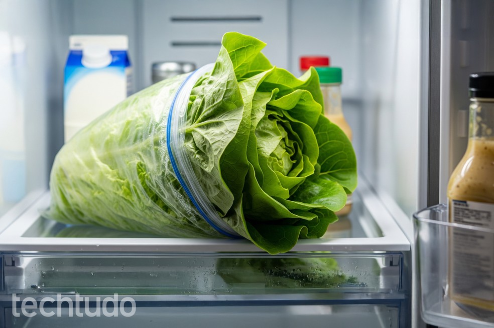 Como Conservar O Alface Na Geladeira