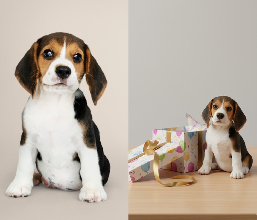  Reprodução/Mariana Tralback