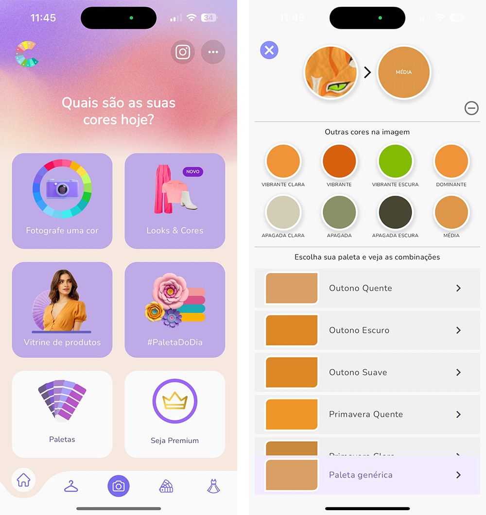 Como descobrir minha paleta de cores? Site faz teste online grátis