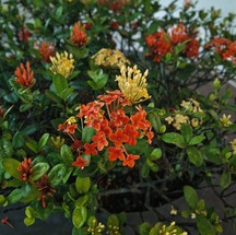  João Santos/TechTudo