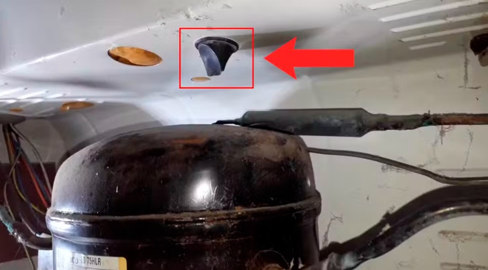 Vídeo mostra o que acontece quando um alimento é colocado na geladeira ...