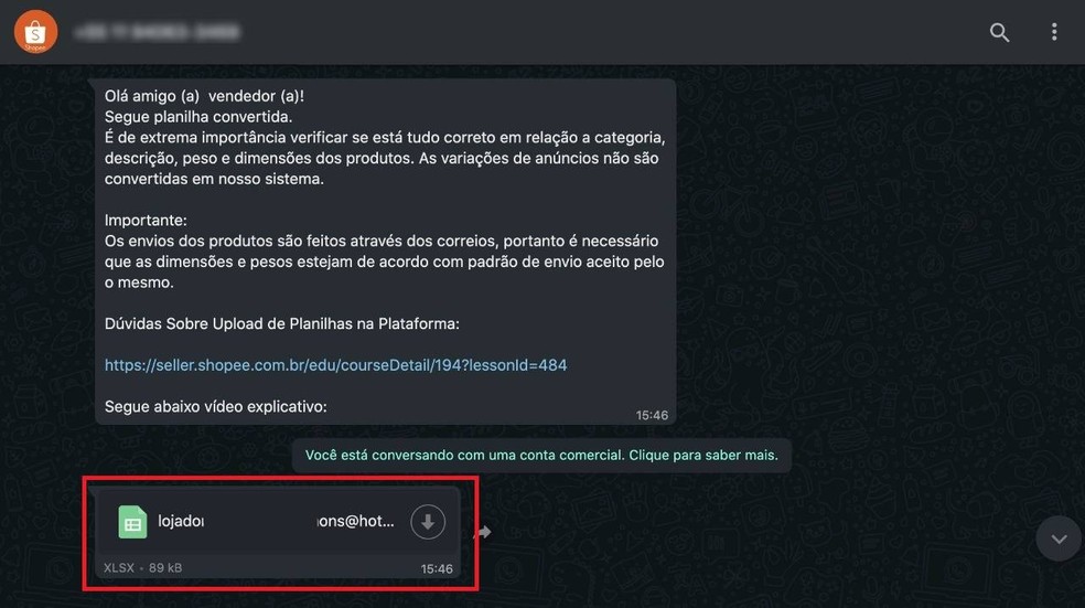 Vender na Shopee vale a pena? Site enviará a planilha modificada pelo WhatsApp — Foto: Reprodução/Clara Fabro