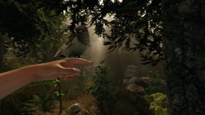 Sons of the Forest: veja gameplay, história e requisitos mínimos do jogo