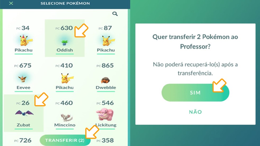 TUTORIAL Pokémon GO - 10 Dicas e Truques que Ninguém te Contou - Movimento  Paulínia