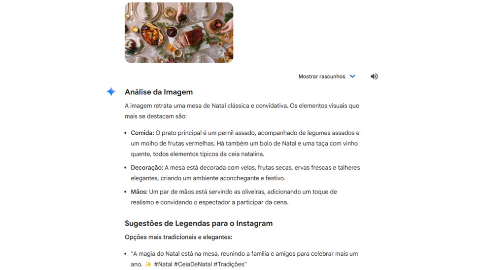 Gemini analisa imagens e gera textos simultaneamente — Foto: Reprodução/Júlia Silveira