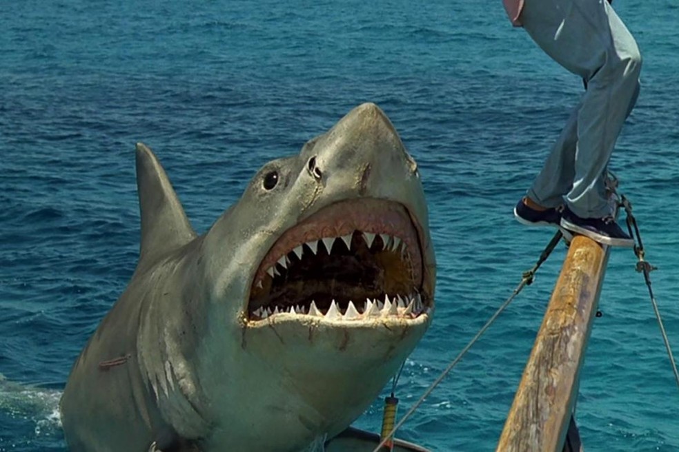 O longa Tubarão IV - A Vingança pode ser conferido no Globoplay — Foto: Reprodução/IMDb