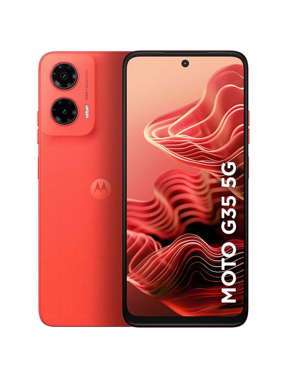  Reprodução/Carrefour