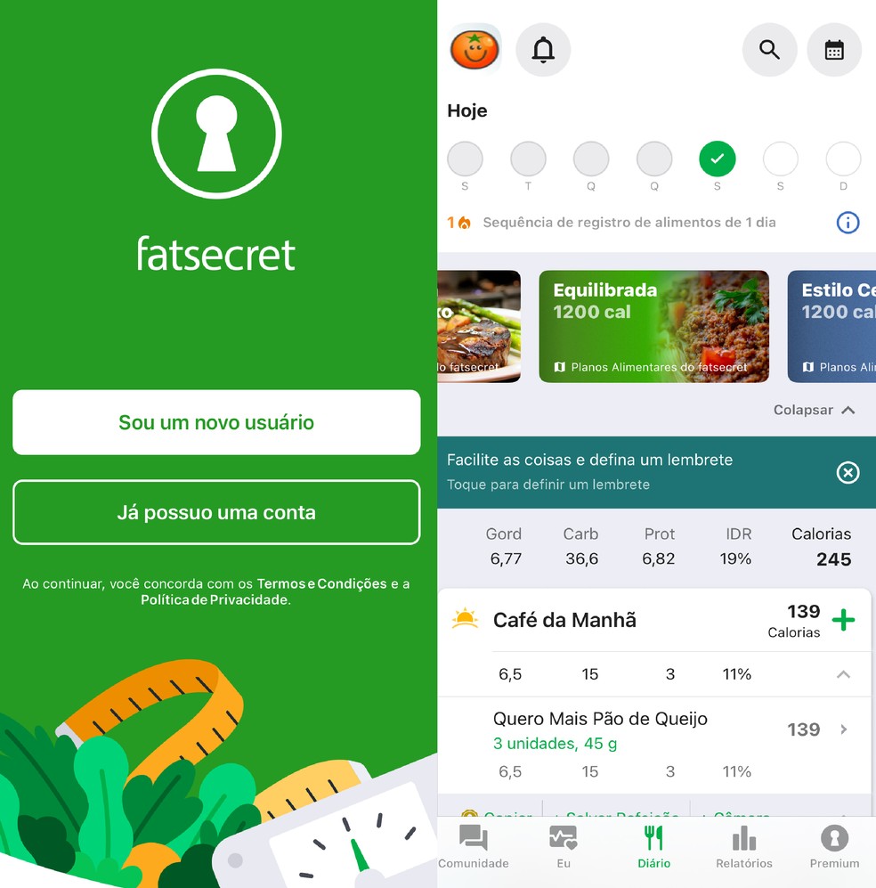  Reprodução/Paola Mansur