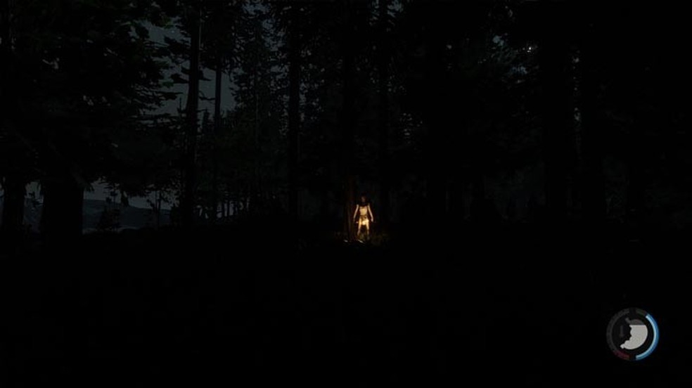 Review The Forest
