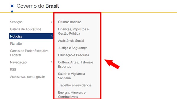 Como usar o Portal Gov.br? Veja tudo que você pode fazer no site