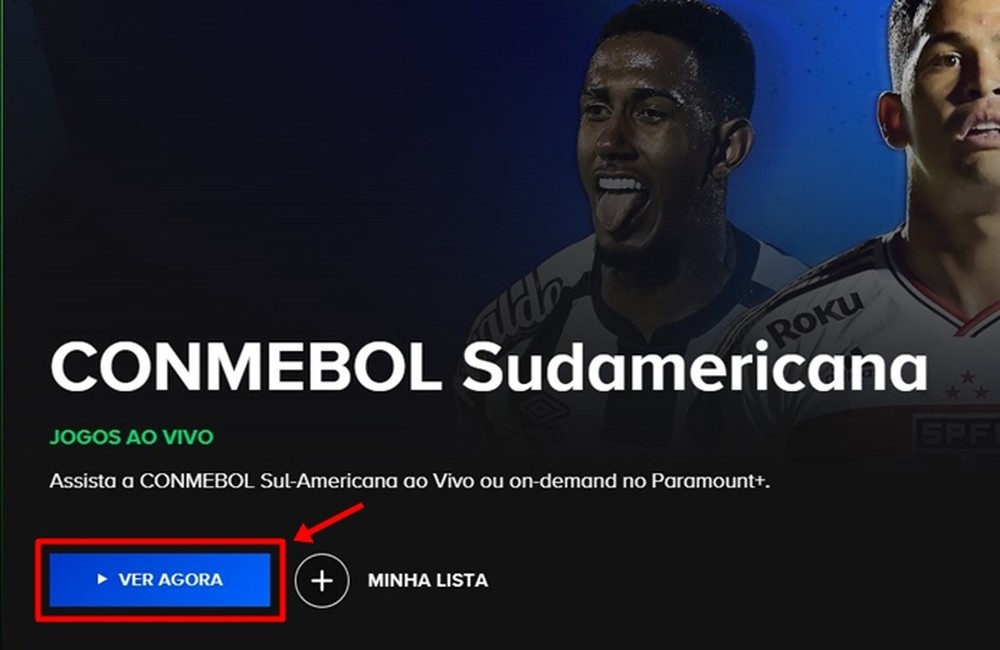 Botafogo x Defensa y Justicia ao vivo: onde assistir ao jogo da Sul ...