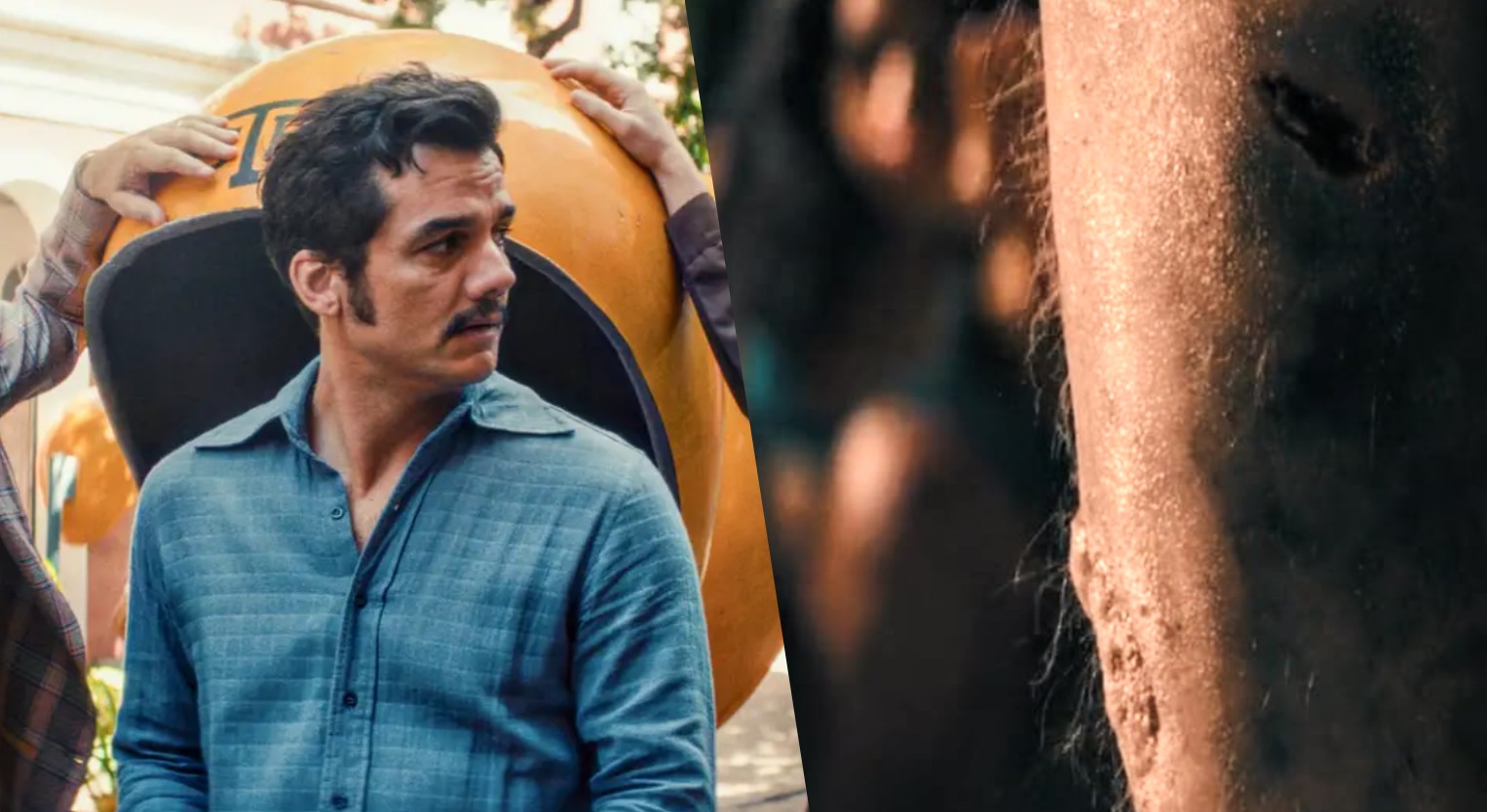 O que é a perna cabeluda em O Agente Secreto? Entenda a lenda do filme