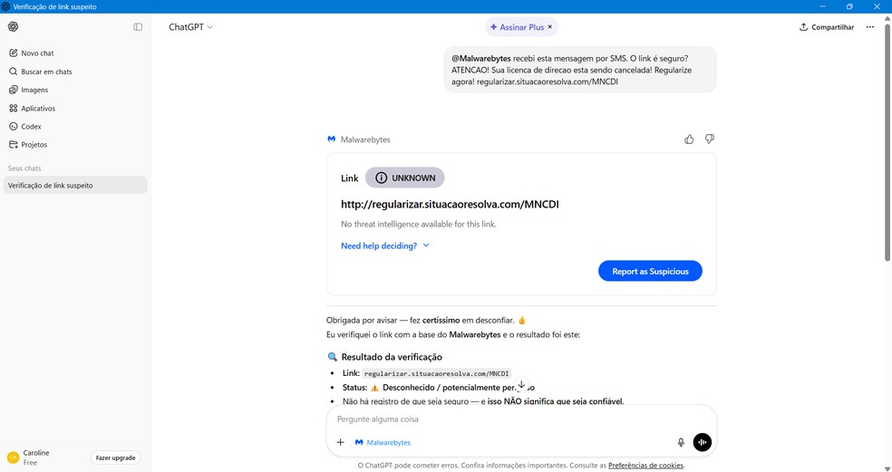  Reprodução/Caroline Silvestre
