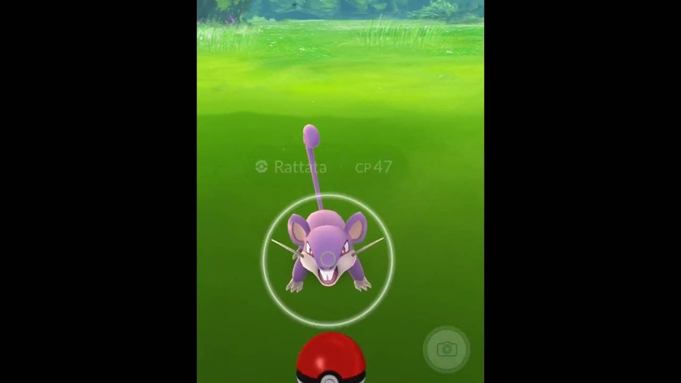 Imagem capturada da tela do jogo Pokémon GO, mostrando o Rattata