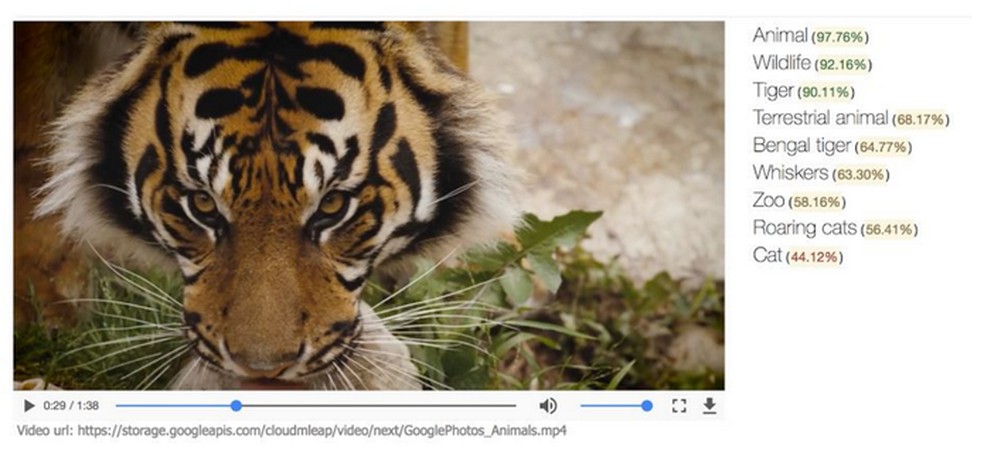 Como o Google Reconhece o Conteúdo dos Vídeos