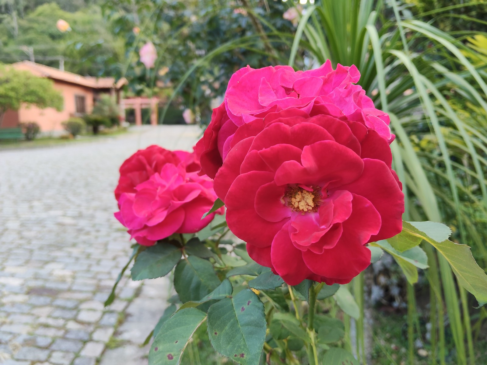  Ana Letícia Loubak/TechTudo