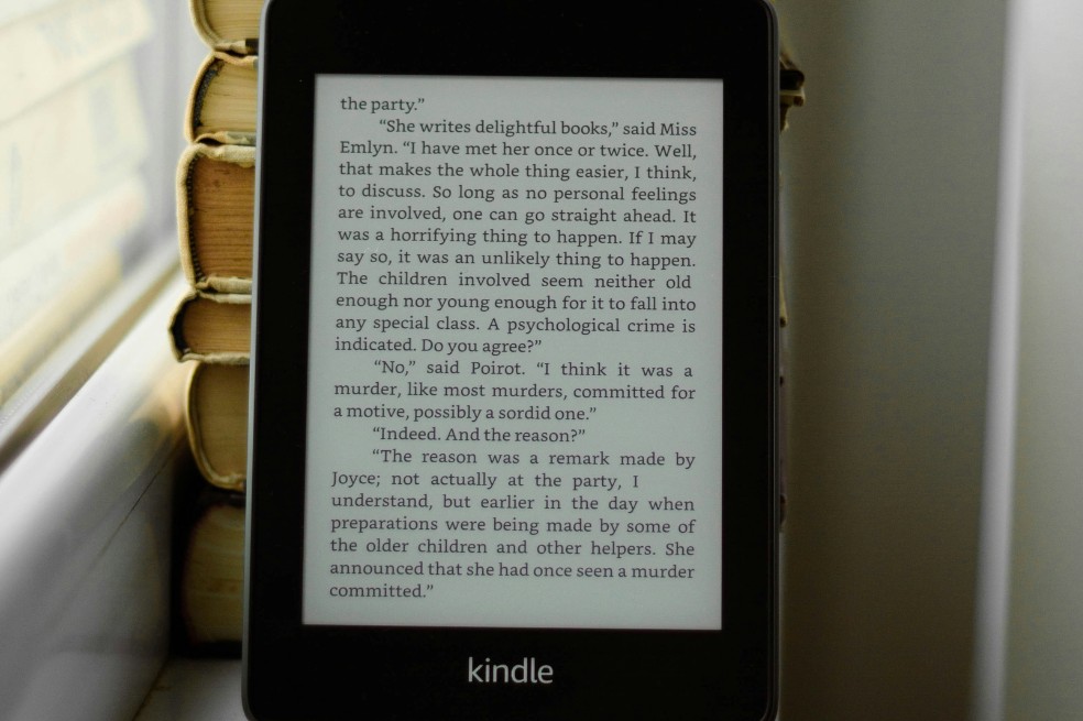  Reprodução/Unsplash/irina-rybcko