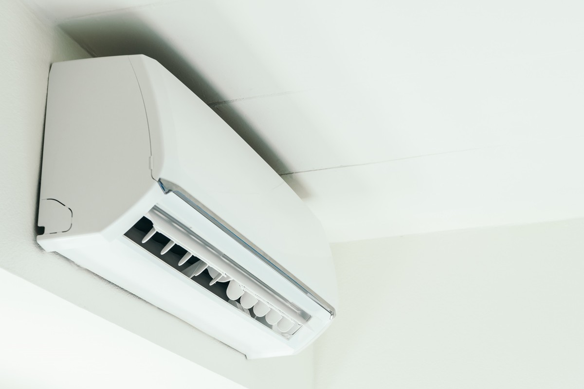 5 itens para ambiens maiscos