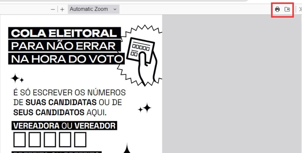 Confira as alternativas para download e impressão da cola eleitoral no canto superior direito da tela — Foto: Reprodução/Millena Borges