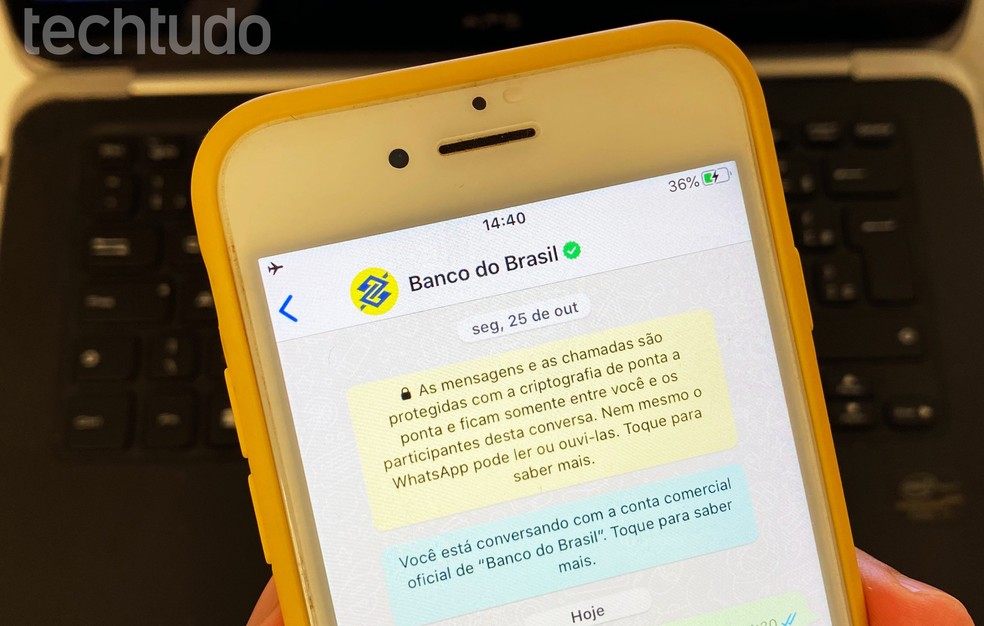 Como consultar o saldo no Banco do Brasil (BB) pelo celular
