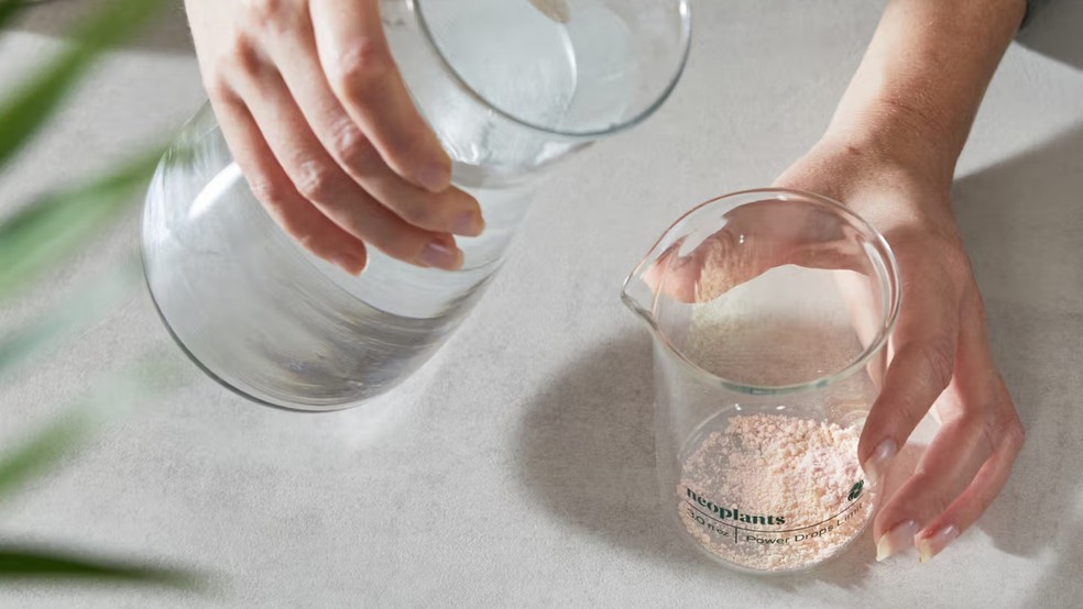  Divulgação/Neoplants