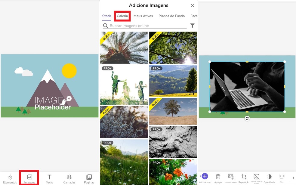  Reprodução/Clara Fabro