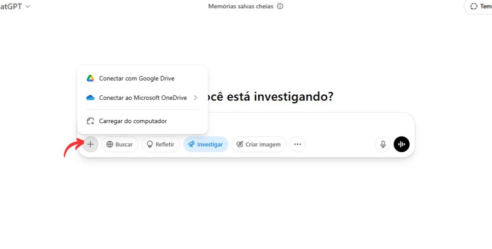  Reprodução/Millena Borges