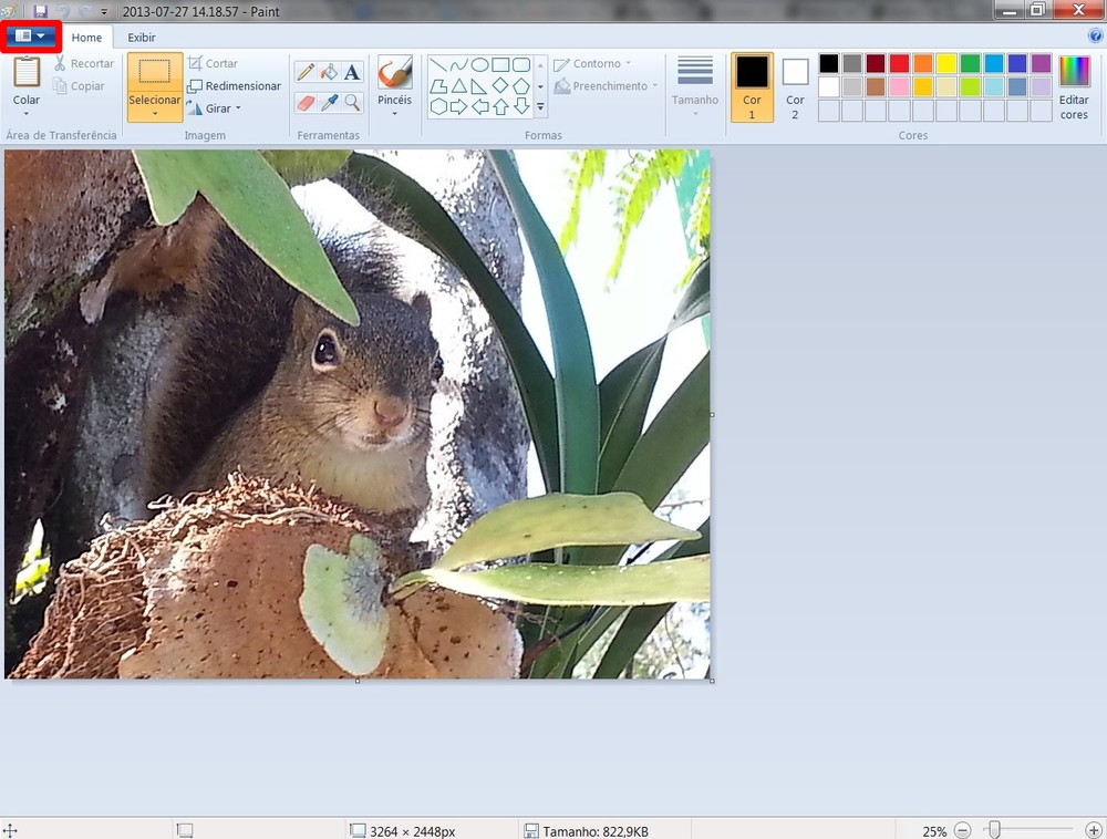 Microsoft Paint: três dicas para você fazer edições mais elaboradas