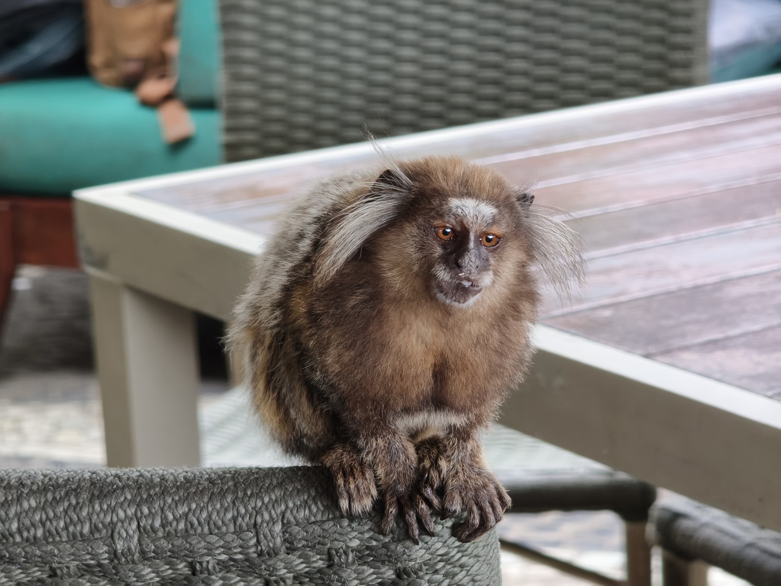  Ana Letícia Loubak/TechTudo