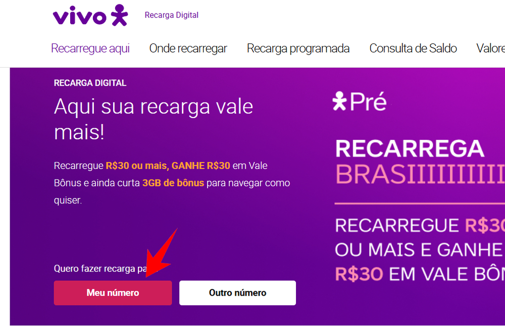 Como recuperar meu número da Vivo pela Internet? Veja passo a passo