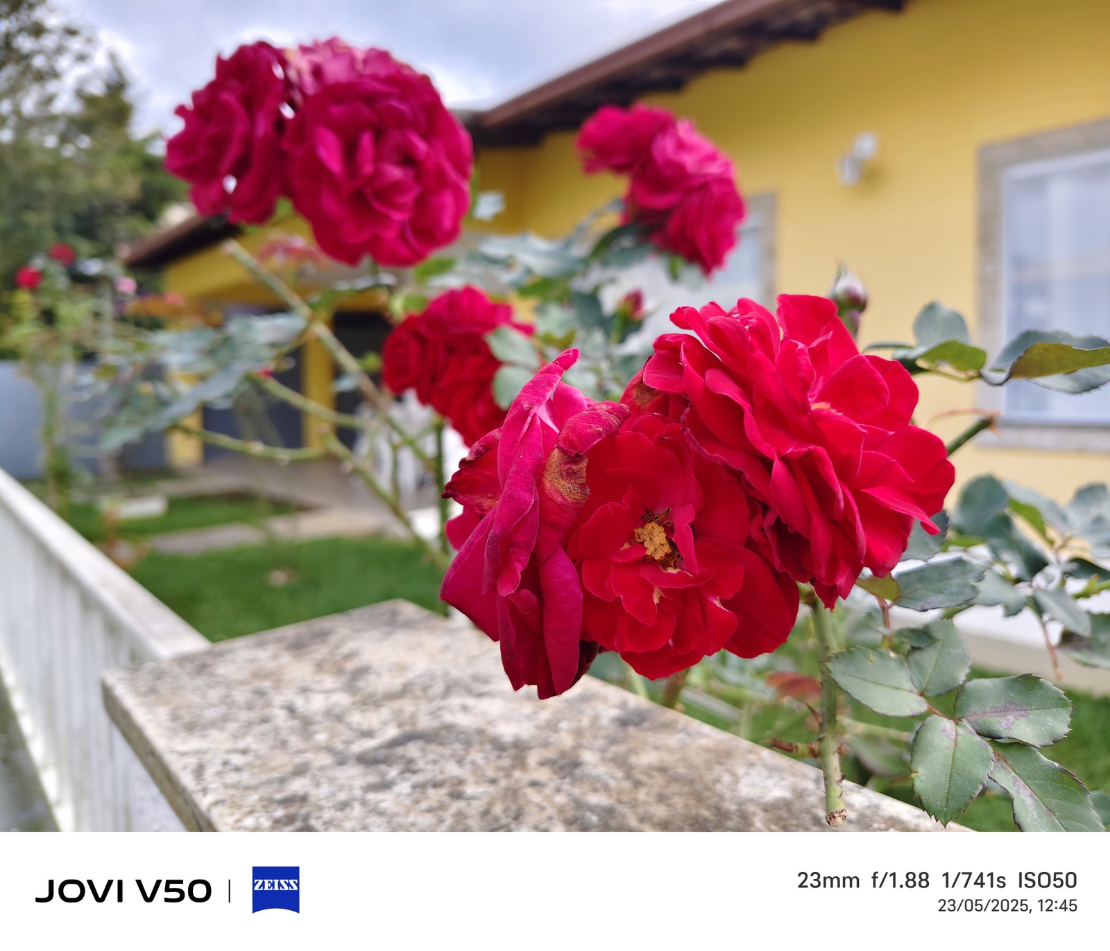  Ana Letícia Loubak/TechTudo